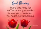 75+ Romantic Good Morning Text Messages For Her to Make Her Smile