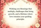 175+ Wedding Card Messages Filled With Love, Laughter & Warmth