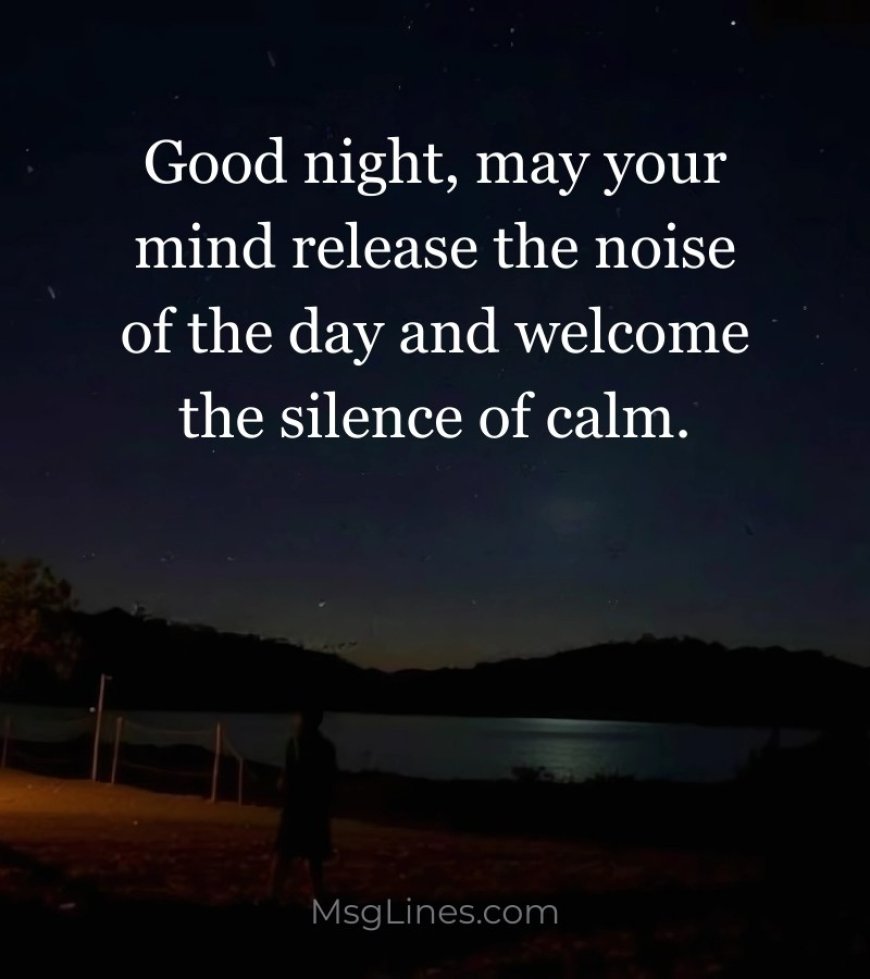 Calm & Wellness-Inspired Good Night Quotes