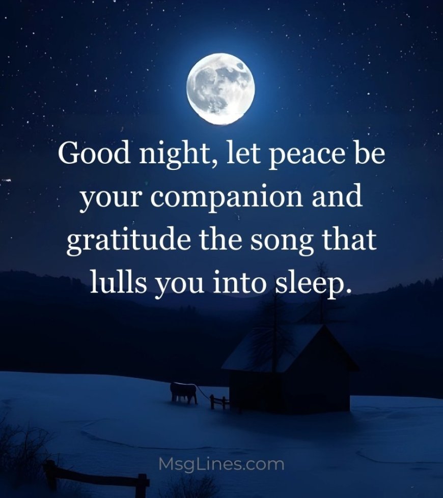 Good Night Quotes About Gratitude