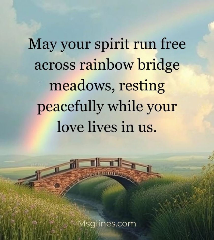 Rest in Peace Quotes for Pets