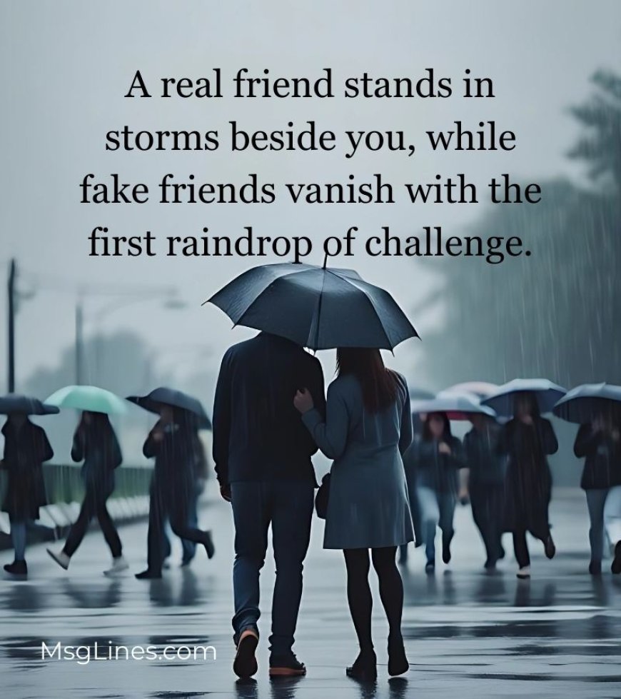 Quotes Comparing Fake Friends vs Real Friends