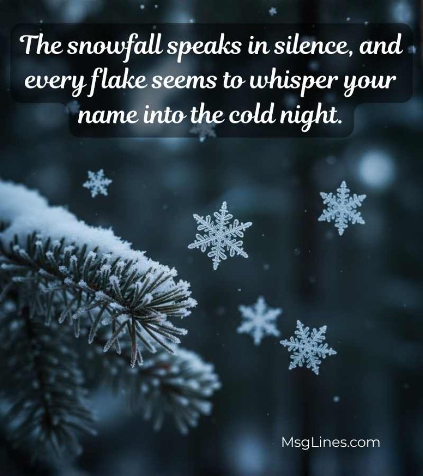 Poetic & Aesthetic Winter Love Lines